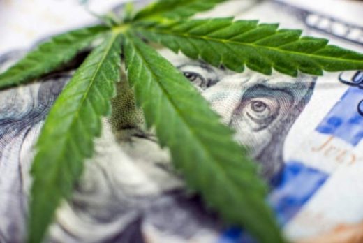 cannabis legal oportunidad de inversion